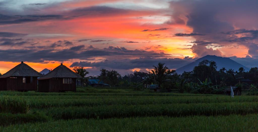 Solo Villas & Retreat Ubud Eksteriør billede