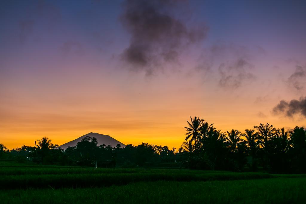 Solo Villas & Retreat Ubud Eksteriør billede