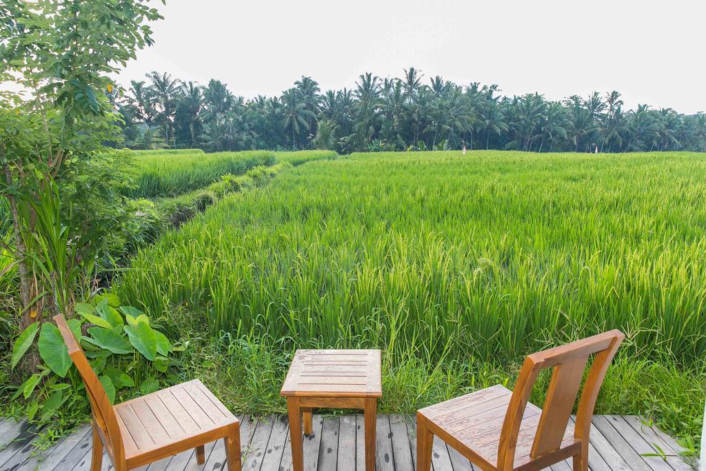 Solo Villas & Retreat Ubud Eksteriør billede